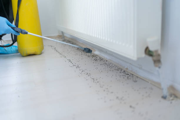 Best Pest Prevention Services  in Coker, AL